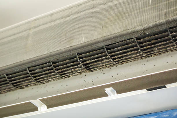 Best Professional Duct Cleaning Services  in Bryn Athyn, PA